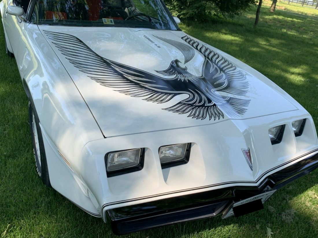 1981 Pontiac Trans Am - photo 3