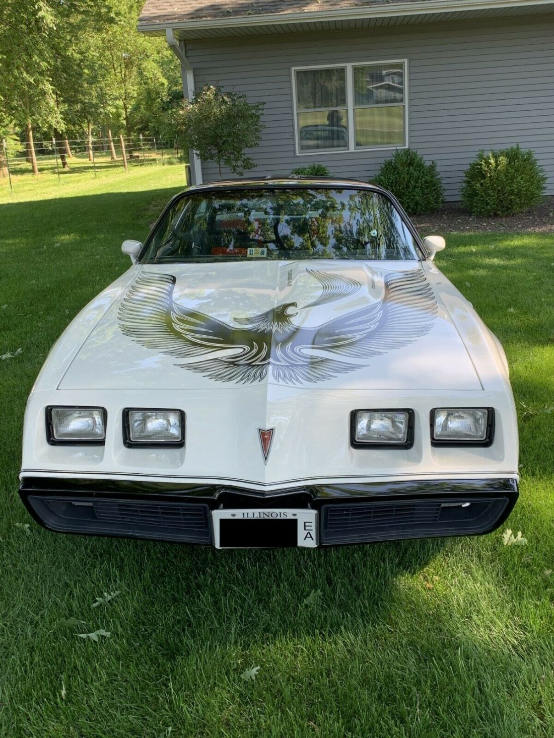 1981 Pontiac Trans Am - photo 8