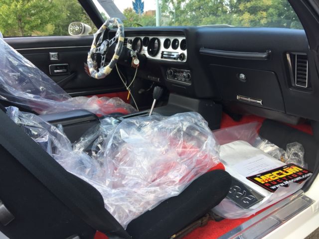 1981 Pontiac Trans Am Turbo 4.9 - photo 12