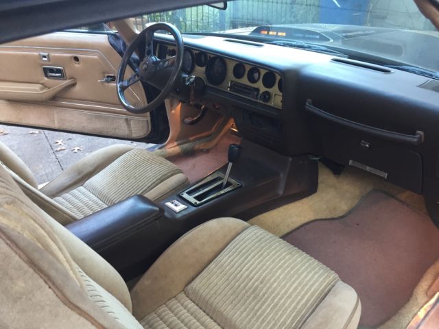 1981 Pontiac Trans Am Special Edition - photo 10