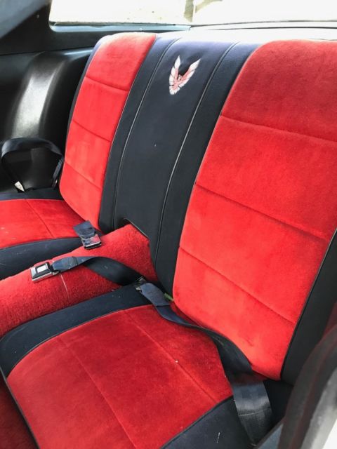 1981 Pontiac Firebird - photo 10