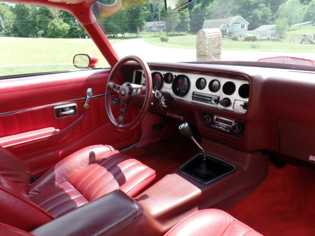 1981 Pontiac Firebird TRANS AM - photo 11
