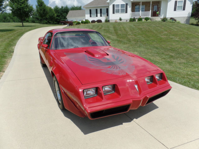 1981 Pontiac Firebird TRANS AM - photo 2