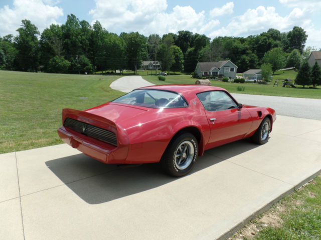 1981 Pontiac Firebird TRANS AM - photo 5