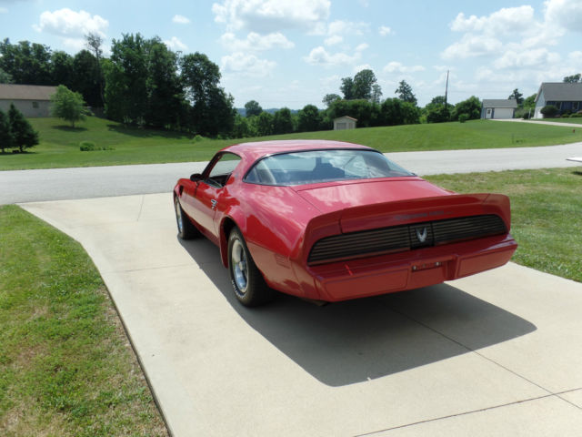 1981 Pontiac Firebird TRANS AM - photo 7