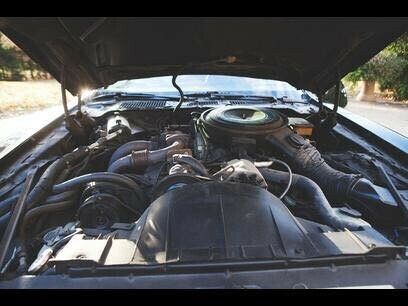 1981 Pontiac Trans Am - photo 4
