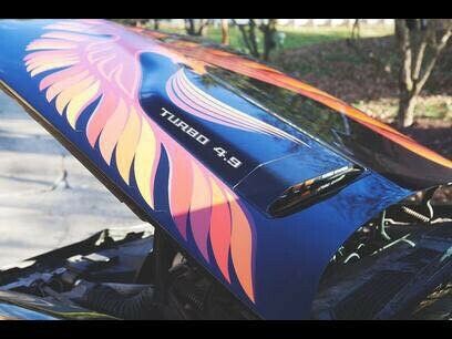1981 Pontiac Trans Am - photo 5