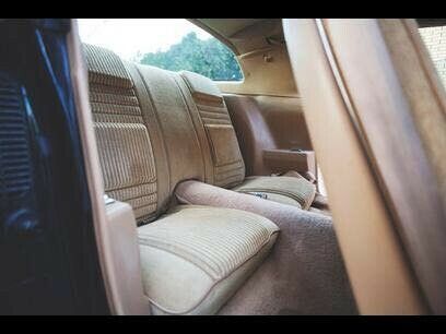 1981 Pontiac Trans Am - photo 9