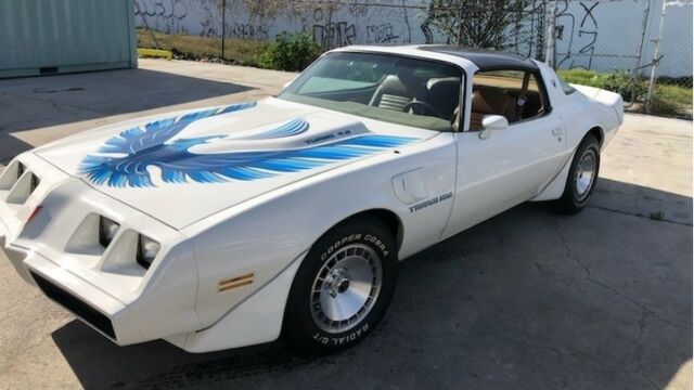 1981 Pontiac Trans Am for sale! 1981 Pontiac Trans Am -TURBO COUPE-ONLY 9662 BUILT-T TOPS-ARIZONA CAR-