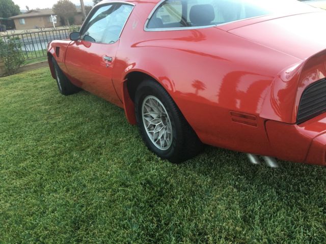 1981 Pontiac Trans Am - photo 8