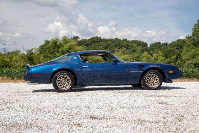 1981 Pontiac Trans Am - photo 10