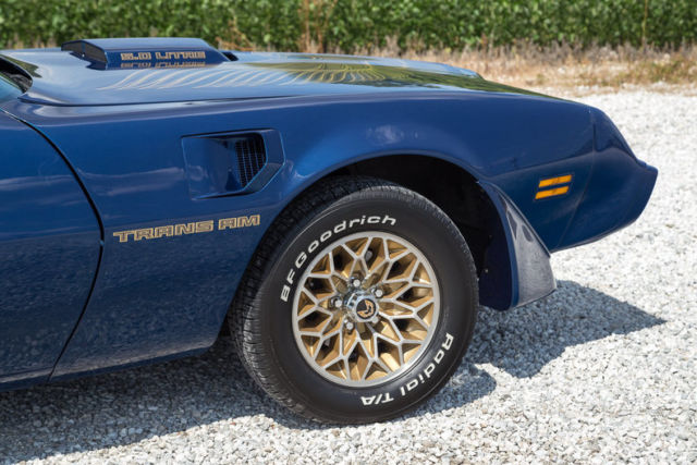 1981 Pontiac Trans Am - photo 11