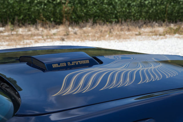 1981 Pontiac Trans Am - photo 12
