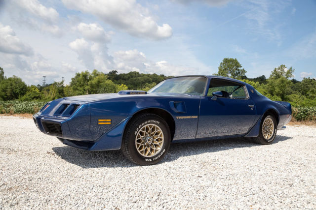 1981 Pontiac Trans Am - photo 2