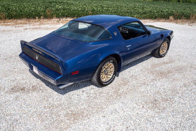 1981 Pontiac Trans Am - photo 8