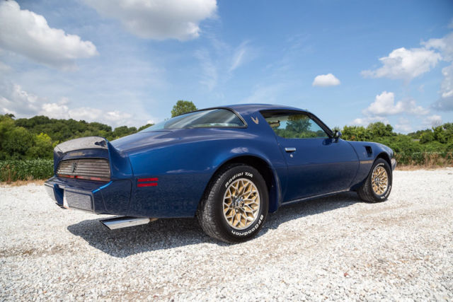 1981 Pontiac Trans Am - photo 9