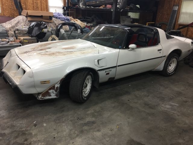 1981 Pontiac Trans Am