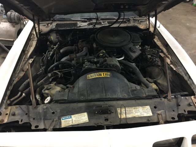 1981 Pontiac Trans Am - photo 6