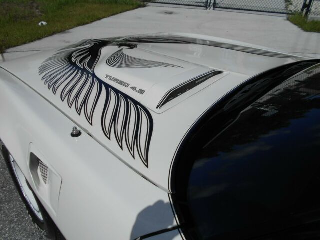 1981 Pontiac Trans Am Pace Car - photo 10