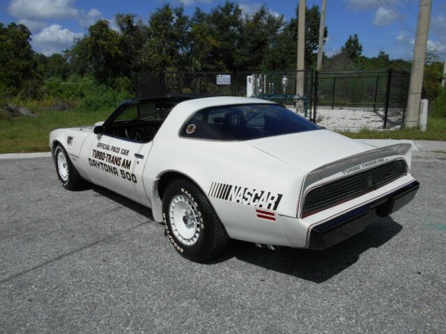 1981 Pontiac Trans Am Pace Car - photo 4