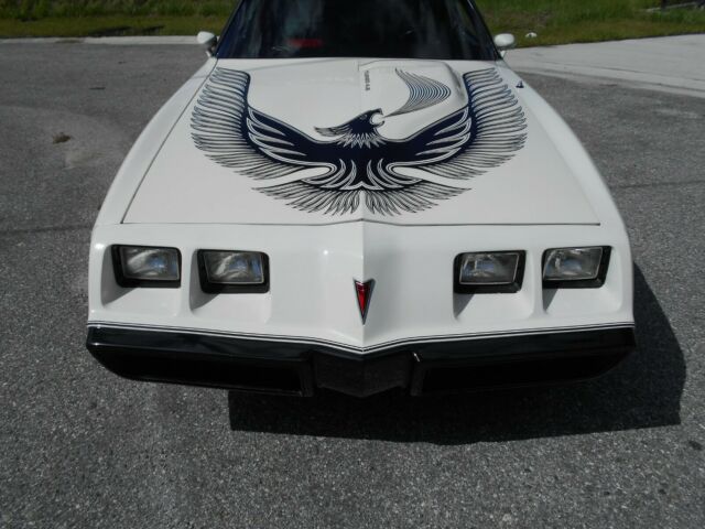1981 Pontiac Trans Am Pace Car - photo 8