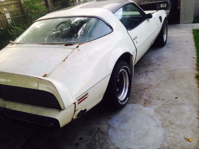 1981 PONTIAC TRANS AM PACE CAR RECARO 1981 Pontiac Trans Am