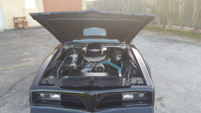 1981 Pontiac Trans Am Trans Am - photo 10