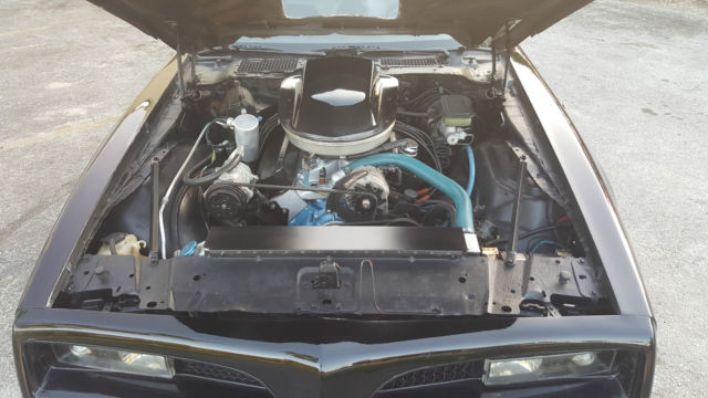 1981 Pontiac Trans Am Trans Am - photo 11