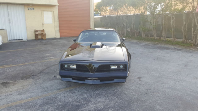 1981 Pontiac Trans Am Trans Am - photo 9