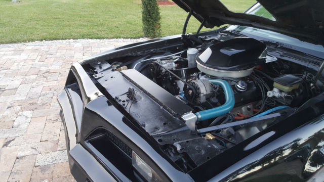 1981 Pontiac Trans Am Trans am - photo 4