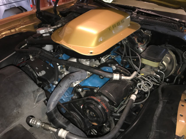 1981 Pontiac Trans Am - photo 11