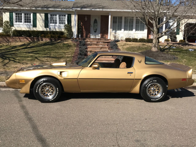 1981 Pontiac Trans Am - photo 2