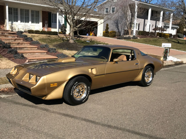 1981 Pontiac Trans Am - photo 3