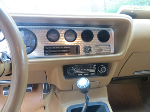 1981 Pontiac Trans Am - photo 5