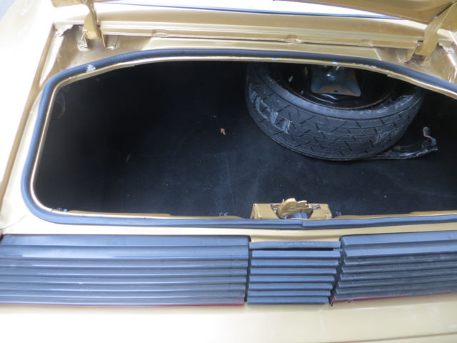 1981 Pontiac Trans Am - photo 7