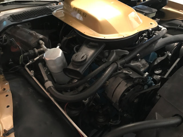 1981 Pontiac Trans Am - photo 3