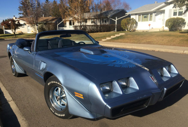 1981 PONTIAC TRANS AM **RARE** dealer ordered CONVERTIBLE high optioned low mile 1981 Pontiac Trans Am WS4 Trans Am