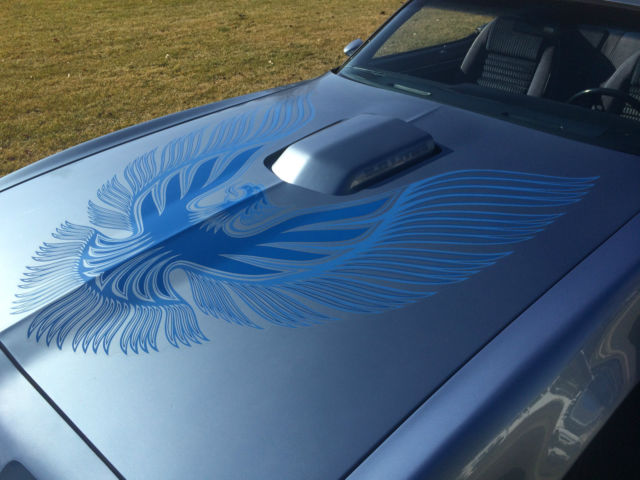 1981 Pontiac Trans Am WS4 Trans Am - photo 11