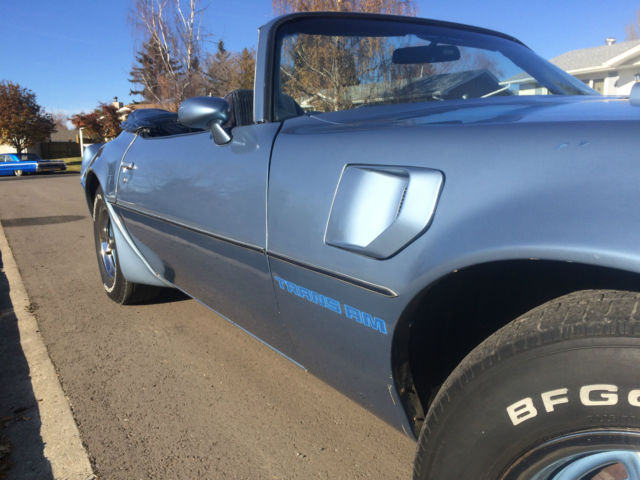 1981 Pontiac Trans Am WS4 Trans Am - photo 13