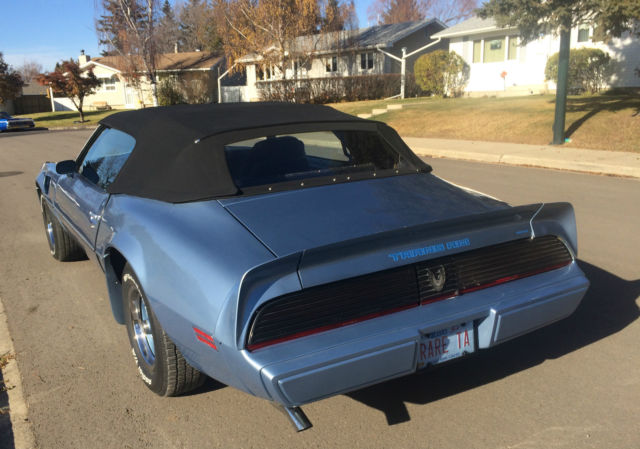 1981 Pontiac Trans Am WS4 Trans Am - photo 3