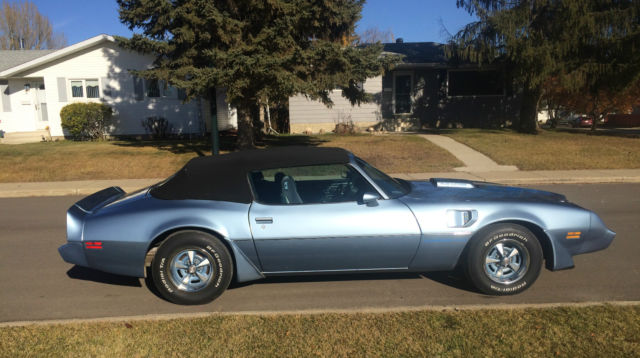1981 Pontiac Trans Am WS4 Trans Am - photo 4
