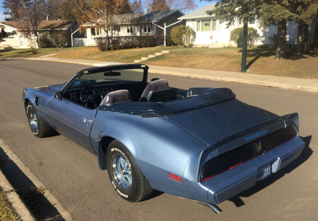 1981 Pontiac Trans Am WS4 Trans Am - photo 6