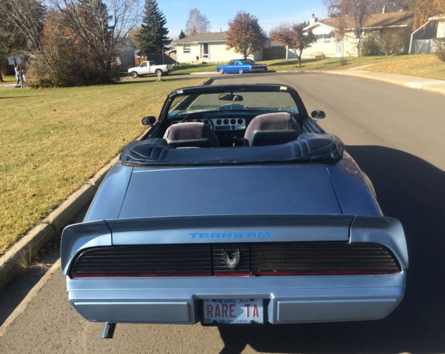 1981 Pontiac Trans Am WS4 Trans Am - photo 7