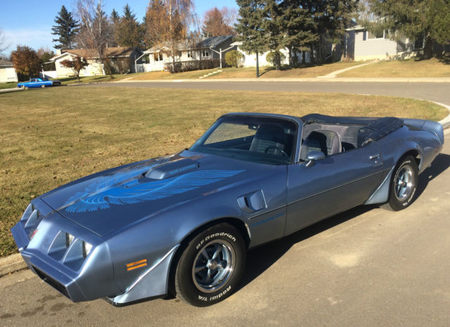 1981 Pontiac Trans Am WS4 Trans Am - photo 8
