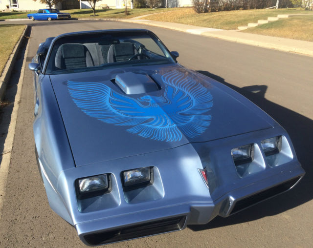 1981 Pontiac Trans Am WS4 Trans Am - photo 9