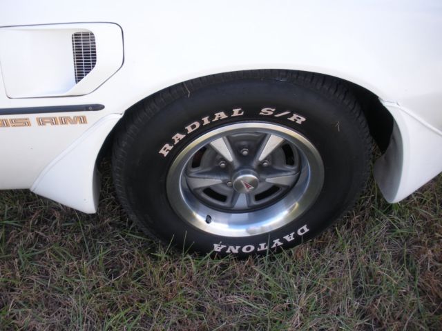 1981 Pontiac Trans Am - photo 11