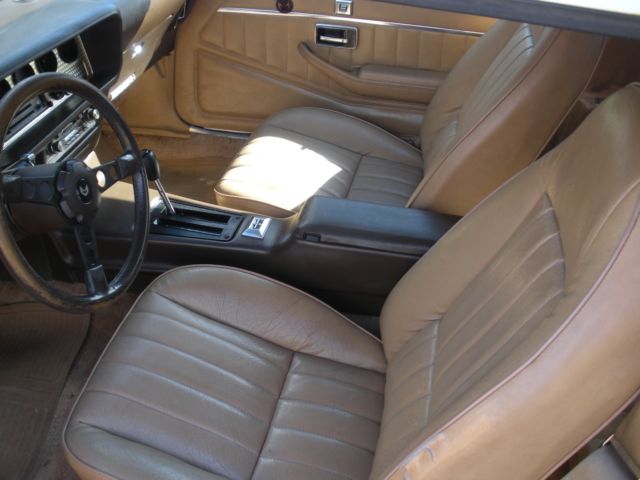 1981 Pontiac Trans Am - photo 12