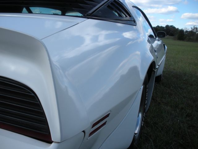 1981 Pontiac Trans Am - photo 5