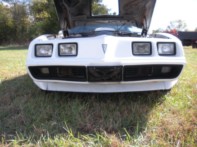 1981 Pontiac Trans Am - photo 7