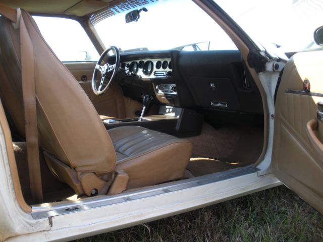 1981 Pontiac Trans Am - photo 9